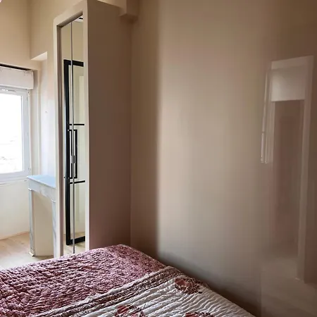 Magnolia Deco *