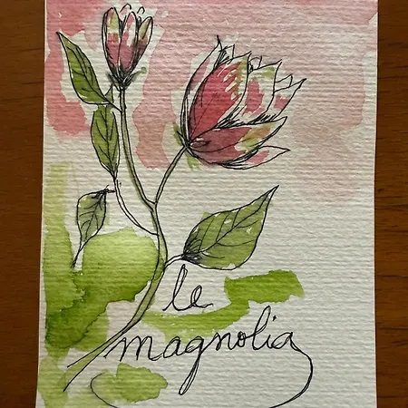 Magnolia Deco Appartement La Ciotat